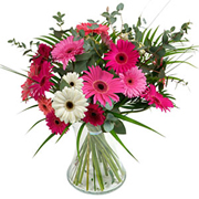 Simply Gerbera Hand-Tied Bouquet