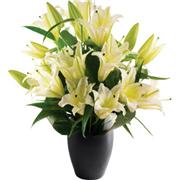 Spectacular White Lilies
