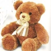 Brown Teddy Bear Large
