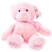 New Baby Girl Teddy