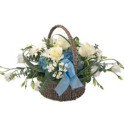 Tickled Blue Basket