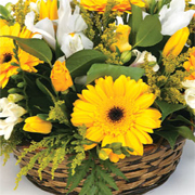 FLORIST CHOICE Round Basket Display Peak Time