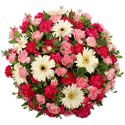 Pretty Posy