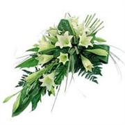 Single-Ended Longiflorum Lily Spray