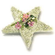 Gypsophilia Star 