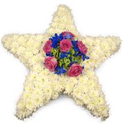 Star Cushion Tribute 