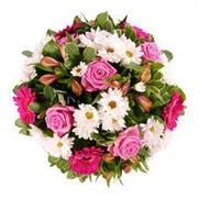 Pink Posy