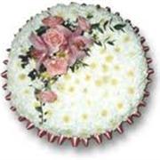 Round Elegant Cushion