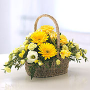 Sunny Basket