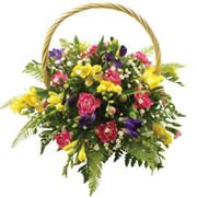 Freesia Flower Basket