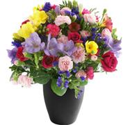 Freesia Fusion