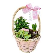 Mothers Day Outdoor Planted Basket