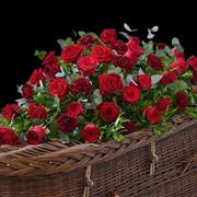 Red Rose &amp; Carnation Casket Spray 