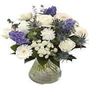 Delicate &amp; Dainty 